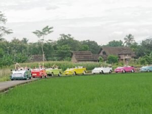 paket wisata borobudur